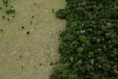 amazon-deforestation amazon-deforestation