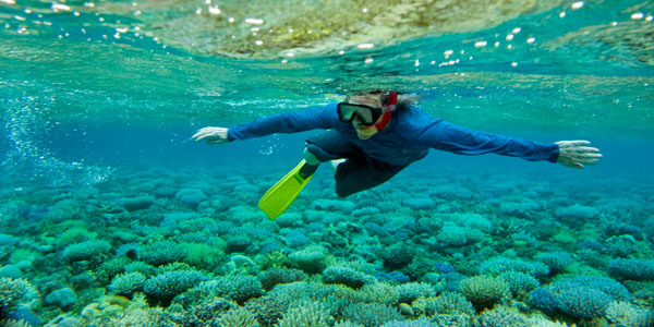 worldoceanday_coral_diver worldoceanday_coral_diver