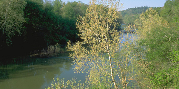Bendick_cahaba_river Bendick_cahaba_river