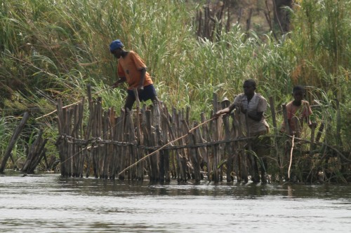 Boys fishing the Zambezi River behind a crocodile barrier