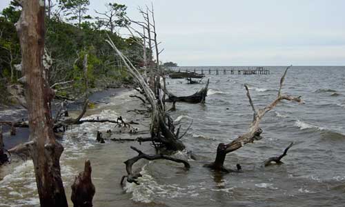 coastal-flooding coastal-flooding