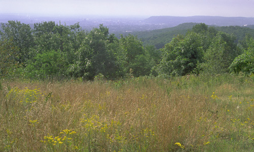 newhjersey_consfinance newhjersey_consfinance