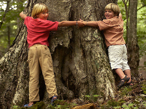 Young tree huggers Young tree huggers