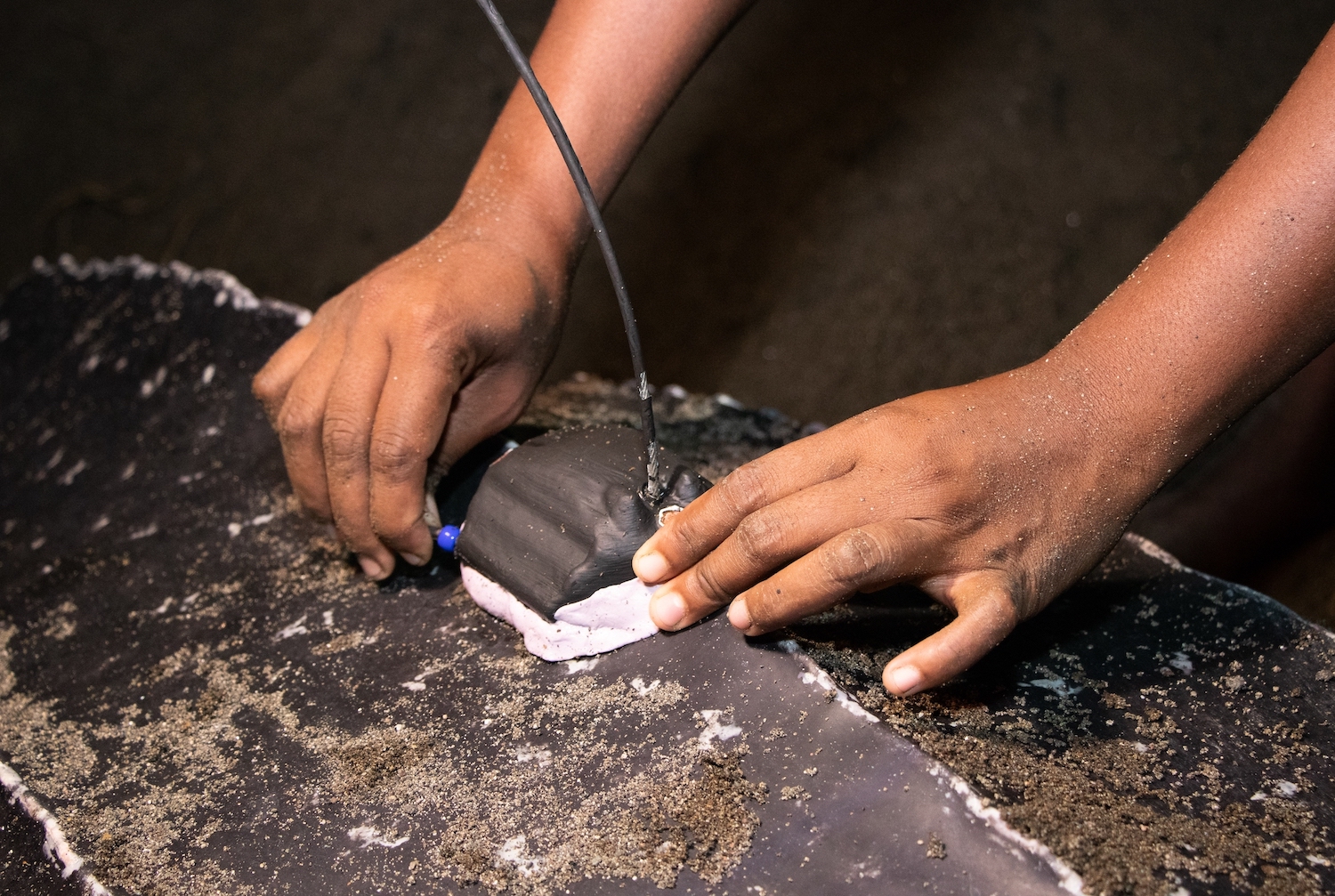 two hand affix a satellite tag to a turtle's shell