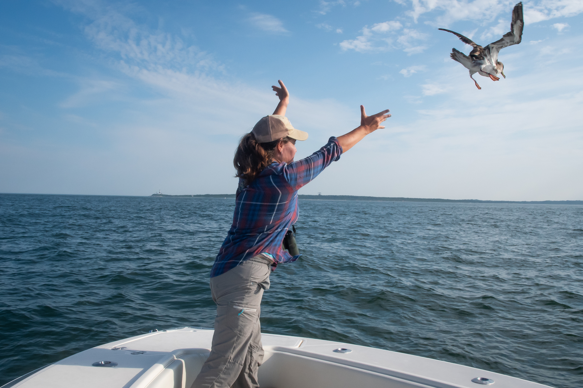 woman with her arms in the air having thrown a seabird. The bird is flying off next to her. 