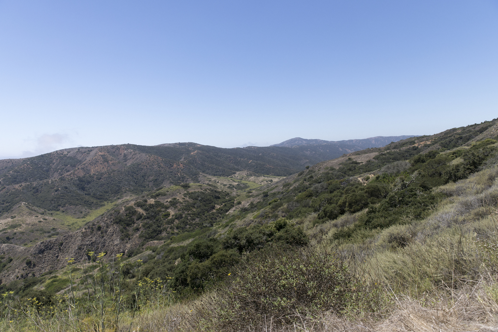 picture of the channel islands landscape