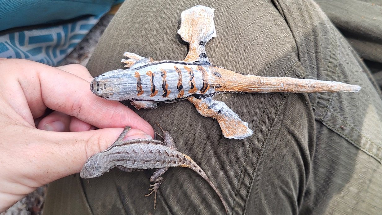 live lizard next to a larger silicone lizard