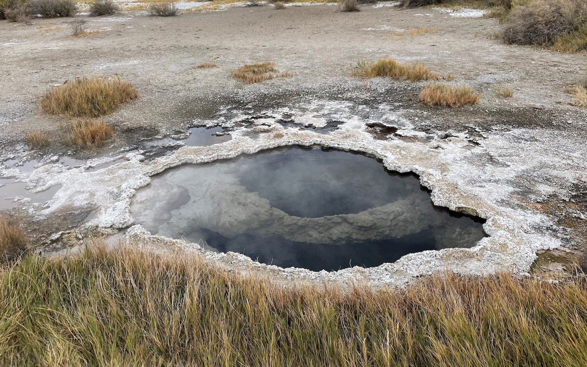 یک حوض کوچک تاریک که اطراف آن را نمک سفید و نیزار احاطه کرده است