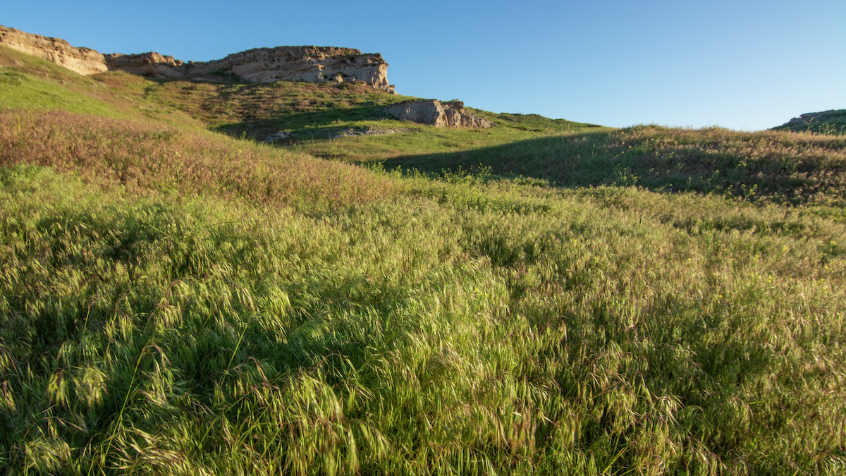 A green grassy knoll with blue sky behind it. 