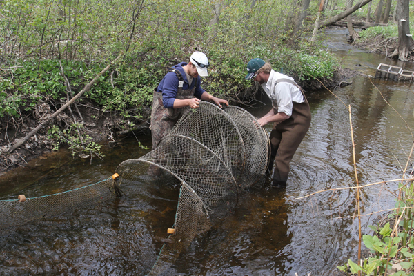 Researchers set a pike trap near Green Bay, Wisconsin. Matt Miller/TNC
