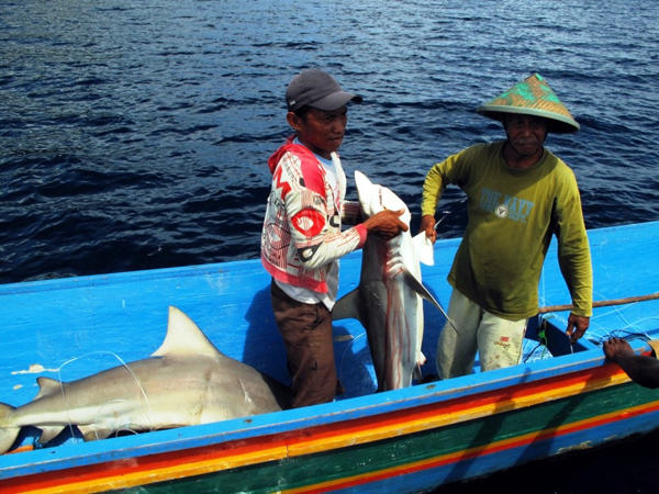 At least 20 million people in Indonesia directly depending on fisheries for their livelihoods and as a source of protein; Raja Ampat offers a breakthrough policy for people and fish.