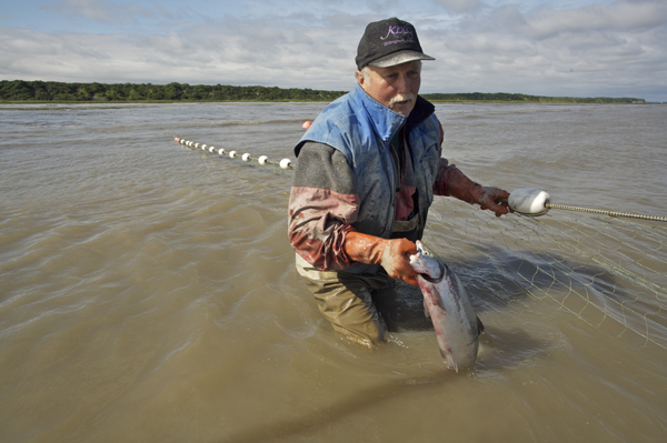 You can't discuss Bristol Bay without discussing salmon--the subject of tomorrow's blog. Photo: Clark James Mishler/TNC