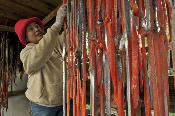 For millennia, people at Bristol Bay have experienced one of the greatest food deliveries on the planet: salmon brought literally to their door. Photo: Clark James Mishler/TNC