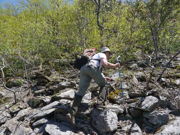 Biologist Doug Blodgett scans rocky hillsides: rattlesnakes could be anywhere here. Photo: Matt Miller/TNC