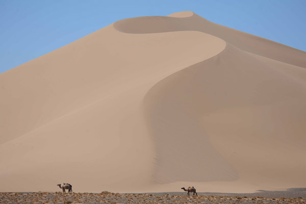 Gobi Desert, Mongolia. Photo: Joseph Kiesecker/TNC