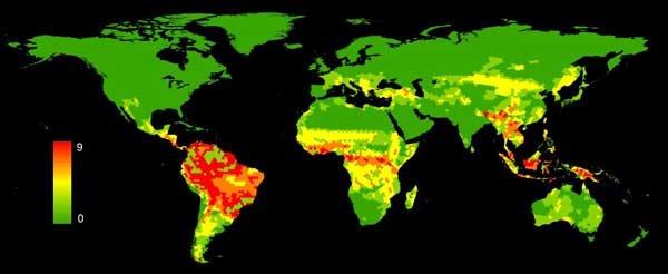 The less we know about a species, the more at risk they are at extinction. This map shows the global distribution of Data Deficient mammals, with yellow-red-orange indicating progressively less data on species. Image: Lucie Bland