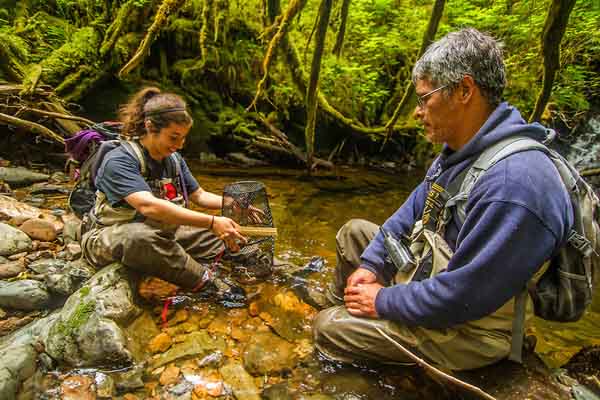 Tony Sanderson and Sonia Ibarra perform fish surveys on streams. Photo: © Erika Nortemann/TNC 