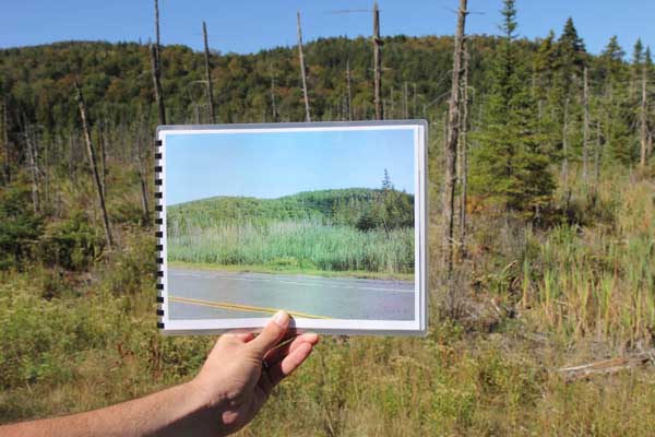 The Conservancy's Brendan Quirion holds a "before" photo of the area covered in phragmites (they show up bright green in the photo). Behind, the area is cleared of phragmites, thanks to rapid response. Photo: Matt Miller/TNC