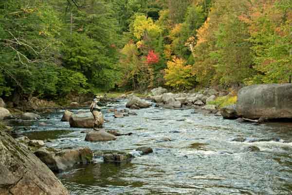 Flyfishing for brook trout draws many anglers to Adirondack waters like the Ausable River.