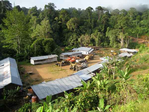Logging operation in Borneo. Photo Credit: Bronson Griscom.