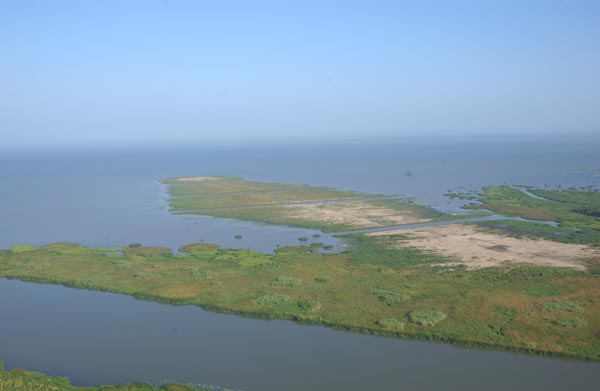 The Atchafalaya River Delta shows that sediment diversion and dredging can work together to benefit fish and wildlife.  In this photo, dredge material is added to a natural delta island built by the river.  This material, excavated to keep the river open to navigation, is placed to benefit wildlife, and many species will use it as it transitions from bare sand to, eventually, a cypress forest.  Photo: Louisiana Department of Wildlife and Fisheries