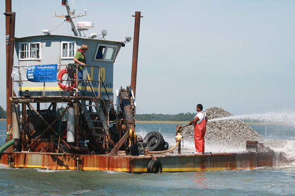 Oyster reef restoration can offer good outcomes ecologically, socially, and economically. Photo: Barry Truitt/TNC