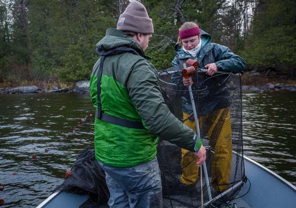 Researchers prepare to survey lake trout that live deep in Follensby Pond. Photo: Erika Edgley/TNC
