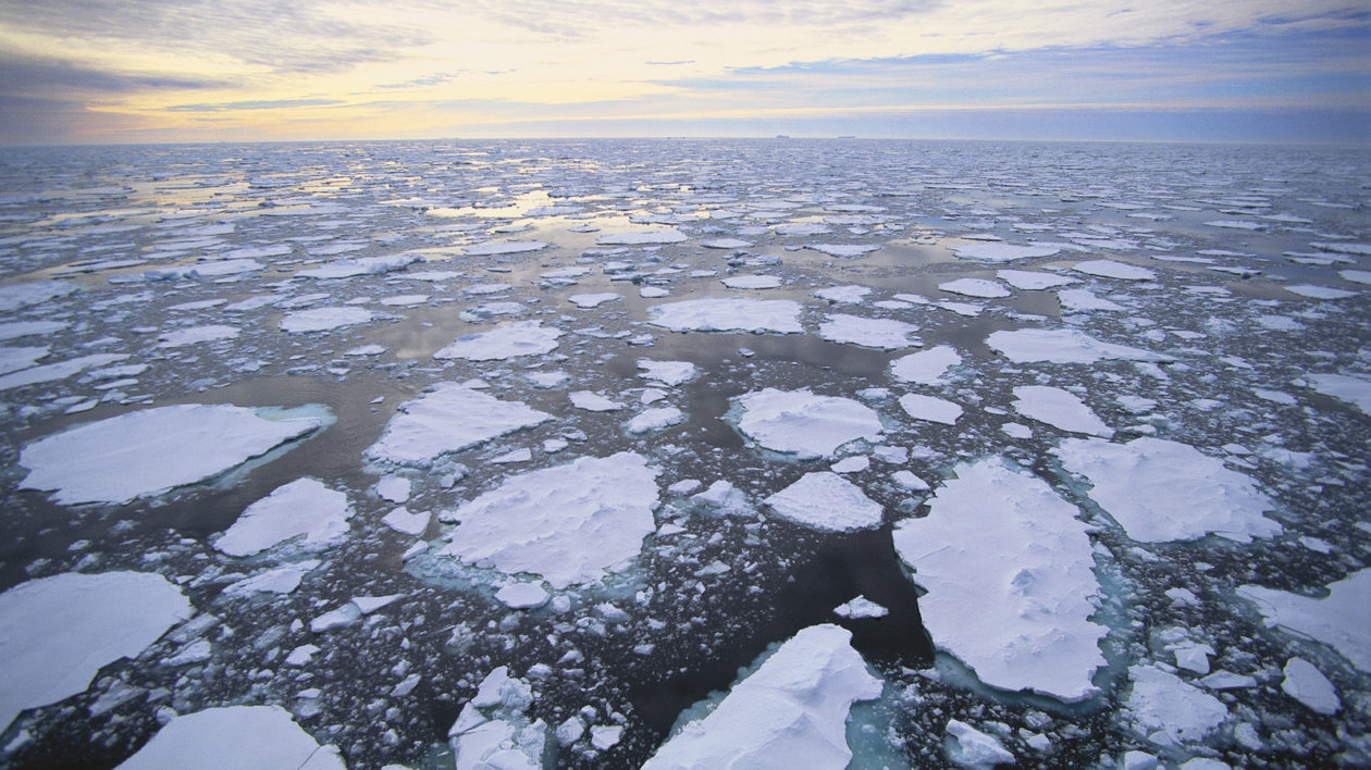 Chunks of Ice in Ocean