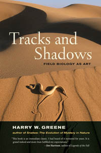 tracks shadows book
