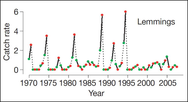 lemming cycles graph