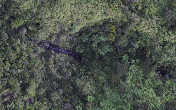 A waterfall with Australian Tree Ferns growing nearby. This is the aerial view that you will see on TomNod. Photo by the Nature Conservancy.