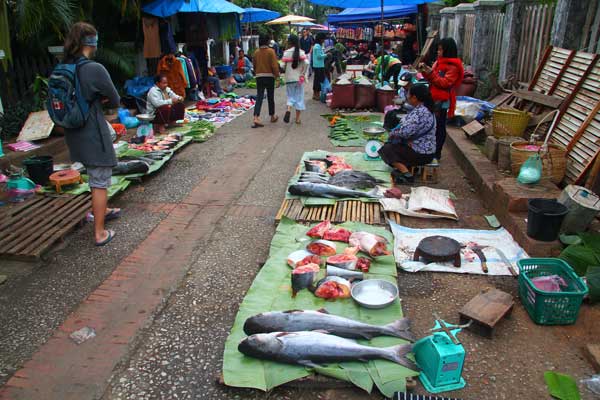 Fish market in Laos. Photo by Jeff Opperman.