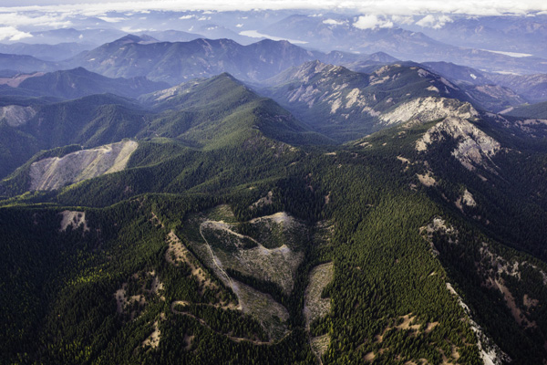 An aerial view shows the legacy of the checkerboard: patches of cut and replanted forest. Photo: © Benjamin Drummond