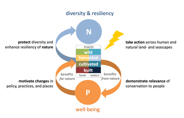 Figure 1. A framework for planning durable conservation outcomes. The center box represents the “whole system” of lands and waters, from wild to intensively developed places, where nature needs to be protected or enhanced. Conservation interventions, represented by a lightning bolt, would be planned to contribute to the protection of diversity and enhancement of resiliency of this “socio-ecological system,” and also to demonstrate the relevance of that conservation to people so they are motivated to change policy and practices and thereby institutionalize – or mainstream – the needed conservation outcome. The result is a virtuous cycle that sustains the benefits to nature and to people through time.