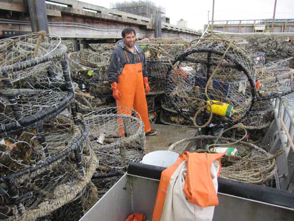 Recovered crab pots. Photo © Kyle Antonelis/Natural Resources Consultants.