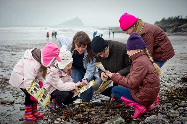 Cat Gordon of the Shark Trust and the Winsor Family on an eggcase hunt. Photo © sghaywood photography.