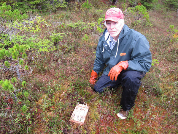 The Conservancy's Michael Kampnich assists with wolf research. Photo: Alaska Department of Fish & Game