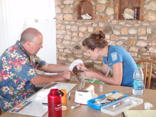 Hoagland (left) and a student examine a mongoose. Photo courtesy Buzz Hoagland