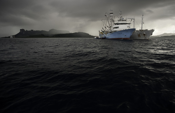 Purse-seine fishing boats pursue tuna. Photo: © Nick Hall