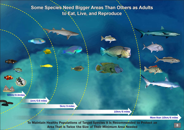 Fish movement distances from Green et al. (2014). Poster modified from Maypa (2012) and Gombos et al. (2013).