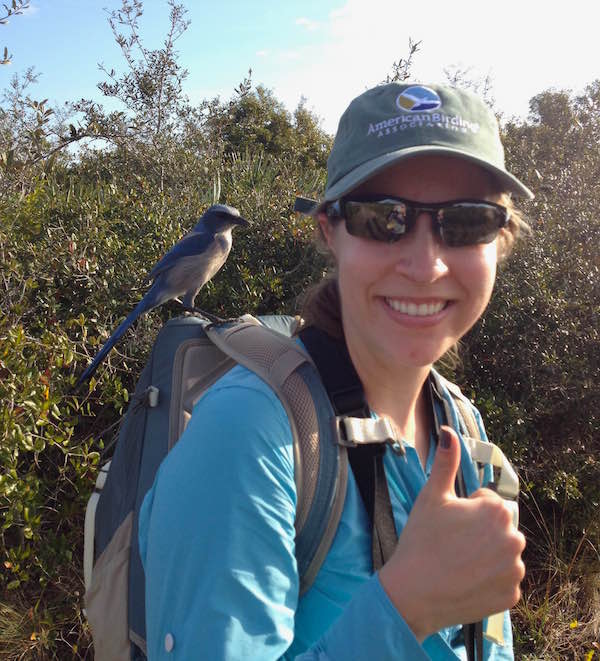 An inspection of both hat and backpack yielded no snacks for the scrub-jay. Photo © Justine E. Hausheer