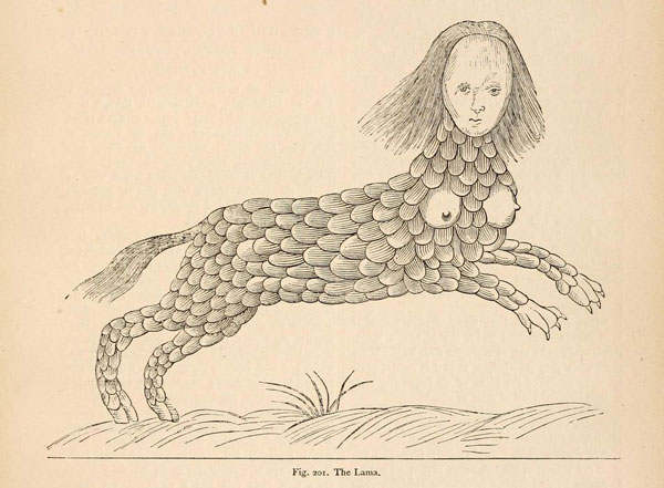 Illustration of the Lama, a mythical half-human half-dog creature reported by sailors, in Hardwicke's Science Gossip. Image courtesy of the Biodiversity Heritage Library.