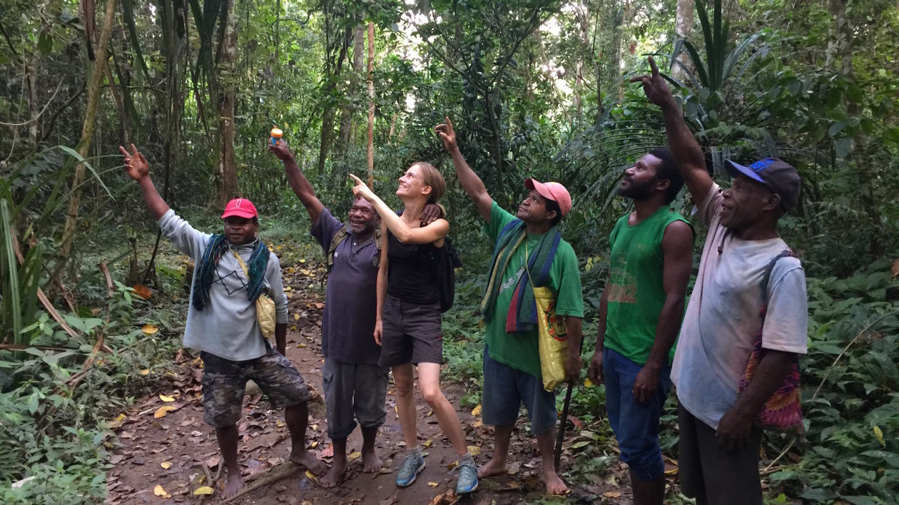 Zuzana Burivalova and local guides celebrate finding the kumul in it’s tree at last. Photo © Timothy Boucher