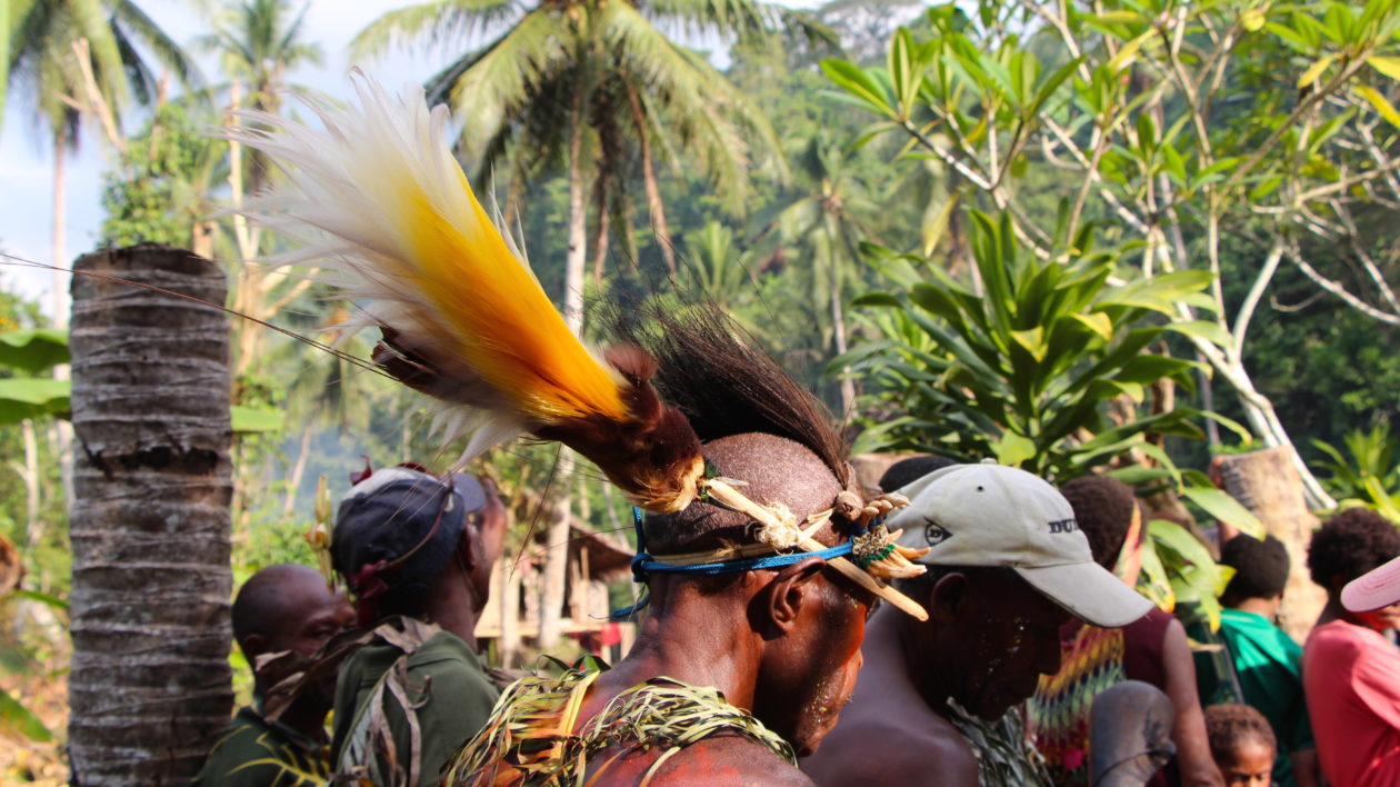 A dancer wears a bird-of-paradise headdress. Photo © Justine E. Hausheer / TNC