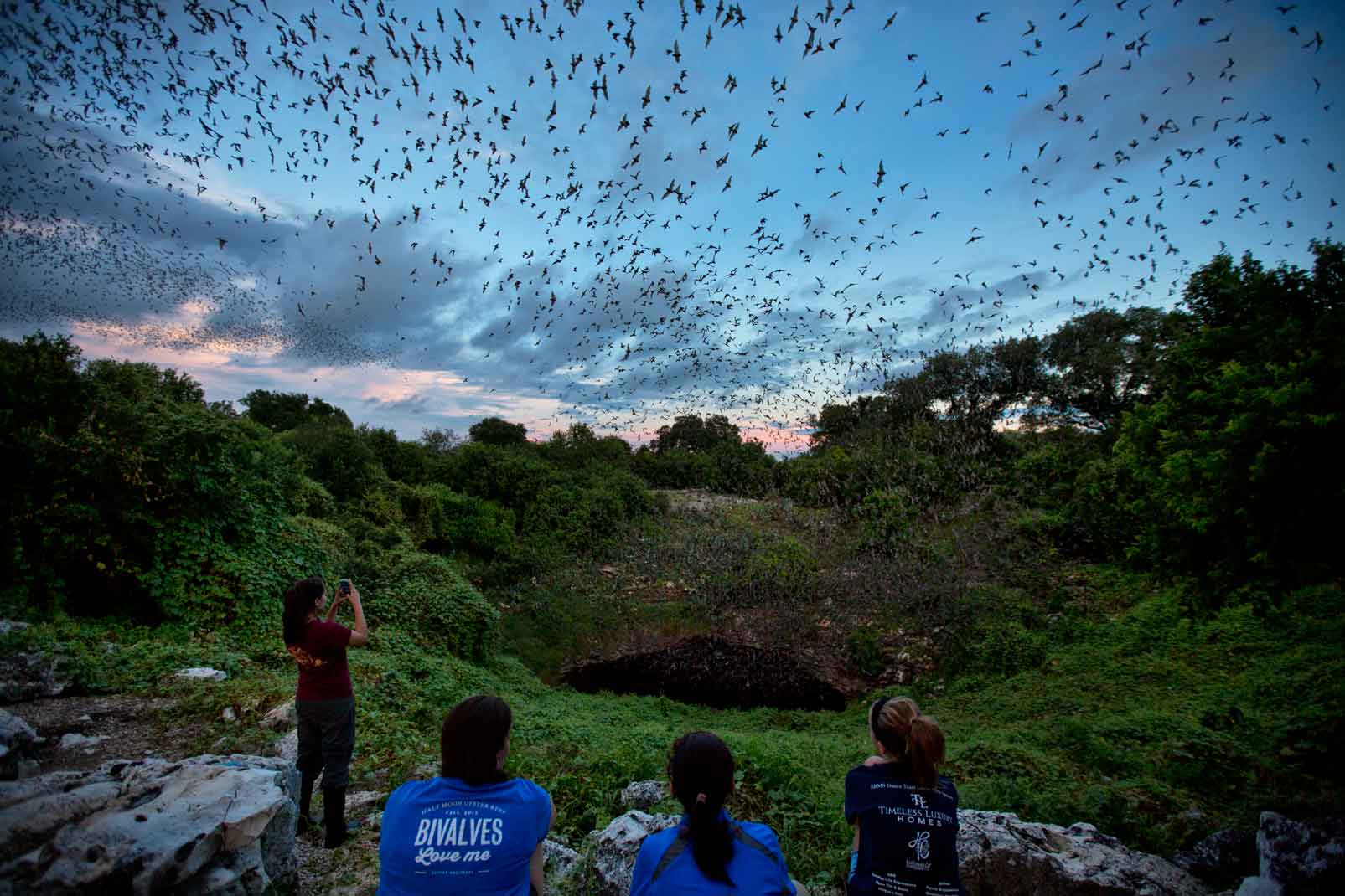 Visitors at Bracken Cave shoot photos and video of the flight. Mexican free-tailed bats emerge in such large and dense concentrations that they appear as storm clouds on weather radar.