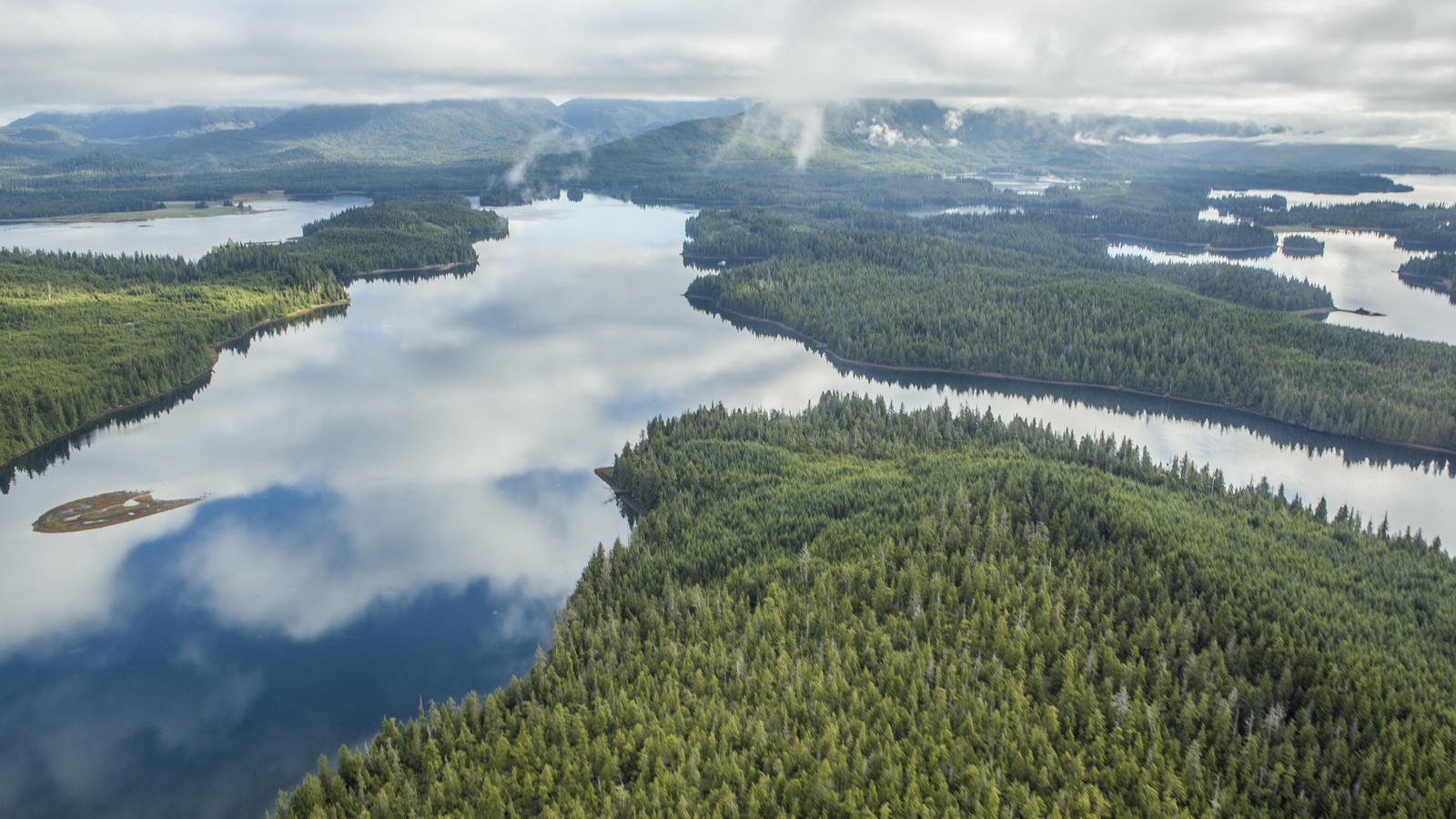 Beer relies on healthy, functioning forests. Aerial view of Southeast Alaska's Tongass National Forest during flight from Prince of Wales Island to Ketchikan. Photo © Erika Nortemann/TNC