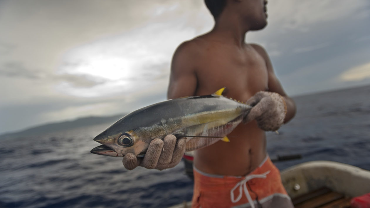 Isaac Paulino, a fisherman and Community Conservation Officer (CCO) from Enipein Village in the Federated States of Micronesia, fishes for skipjack and yellowfin tuna. Photo © Nick Hall