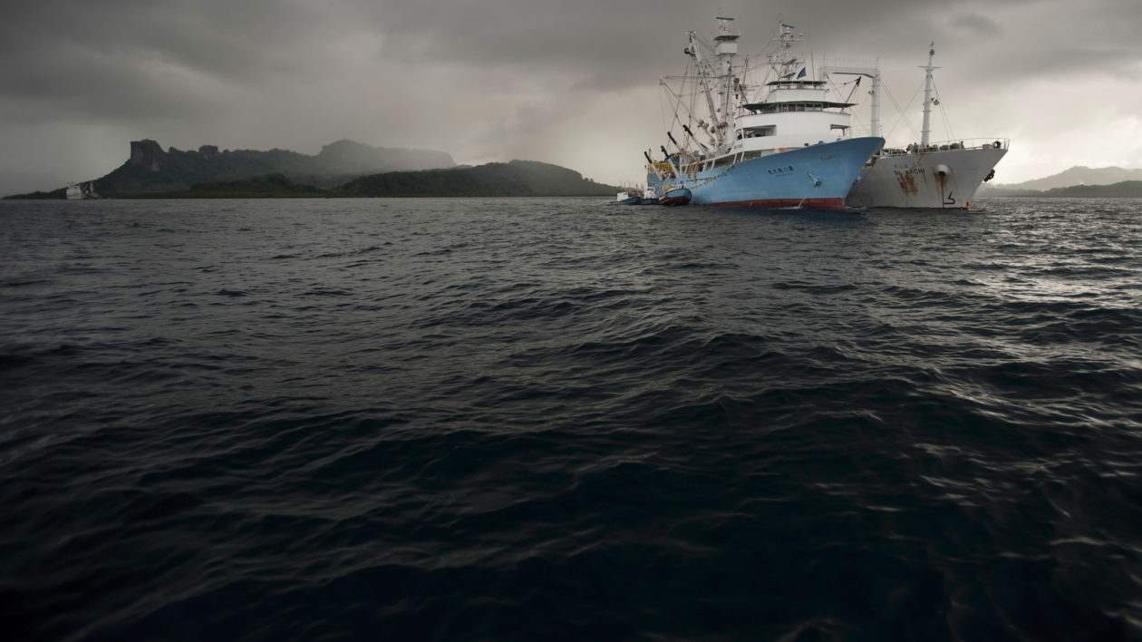 Large tuna purse seine fishing boats in Pohnpeian waters. Photo © Nick Hall