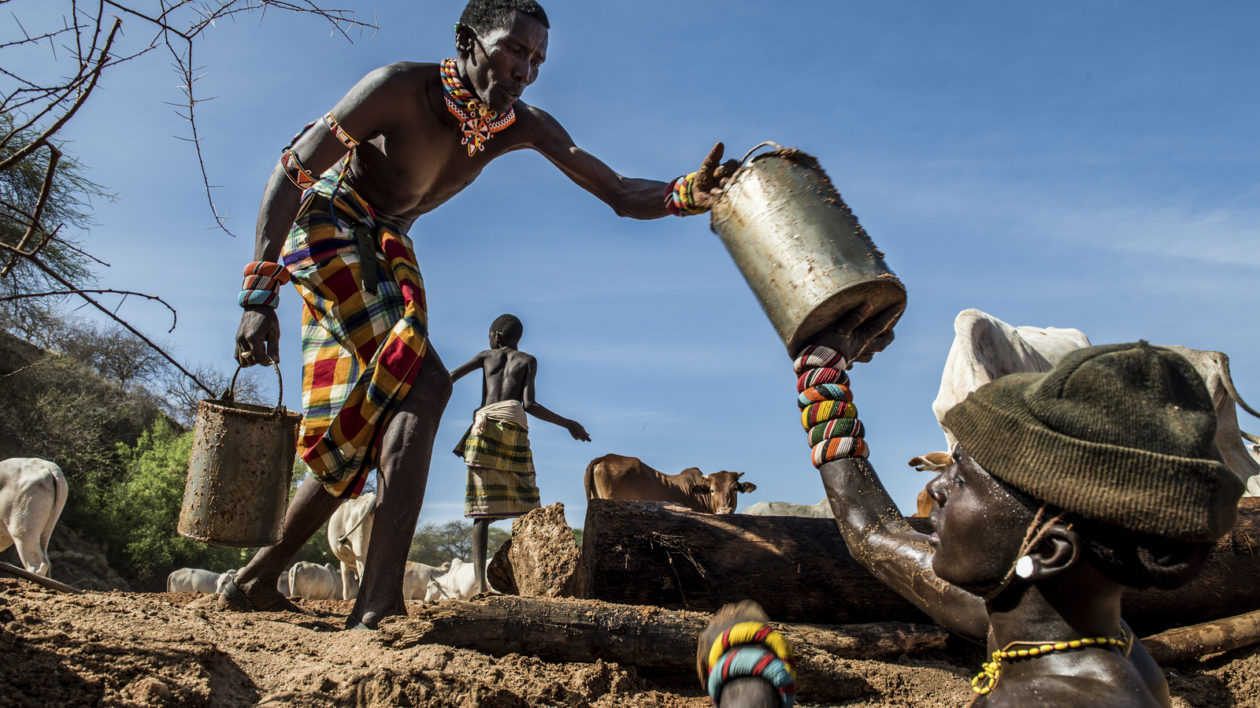 Samburu warriors in Kenya bring their cattle to dry river beds where they have dug wells. Photo © Ami Vitale