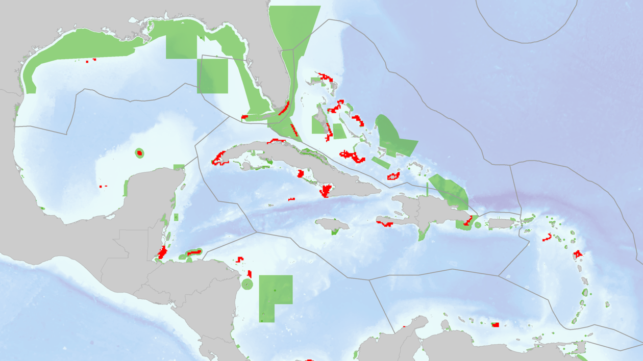 Results of the marine ecoregional coral connectivity best solution (30% target set for local retention and betweenness centrality values by reef unit), overlaid onto marine protected areas. Image © PLOS One.